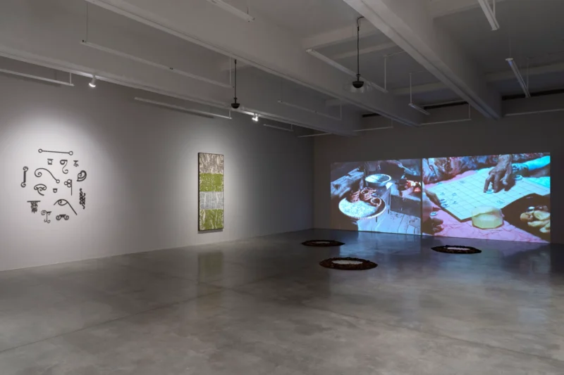 Installation shot from Maia Ruth Lee: Double Vision, @ Tina Kim Gallery
