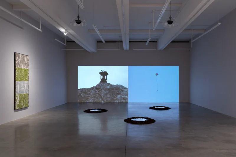 Installation shot from Maia Ruth Lee: Double Vision, @ Tina Kim Gallery