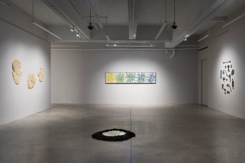 Installation shot from Maia Ruth Lee: Double Vision, @ Tina Kim Gallery