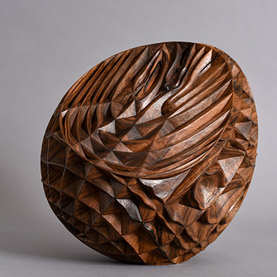 Image from Alison Crowther: Anatomy of a Tree, at New Art Centre