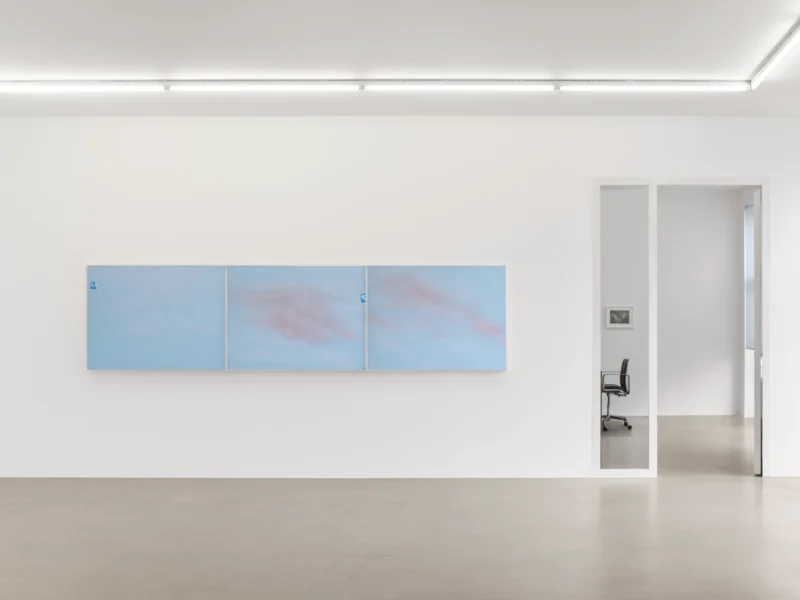 Installation shot from Joe Goode: Torn Skies, @ Zander Galerie