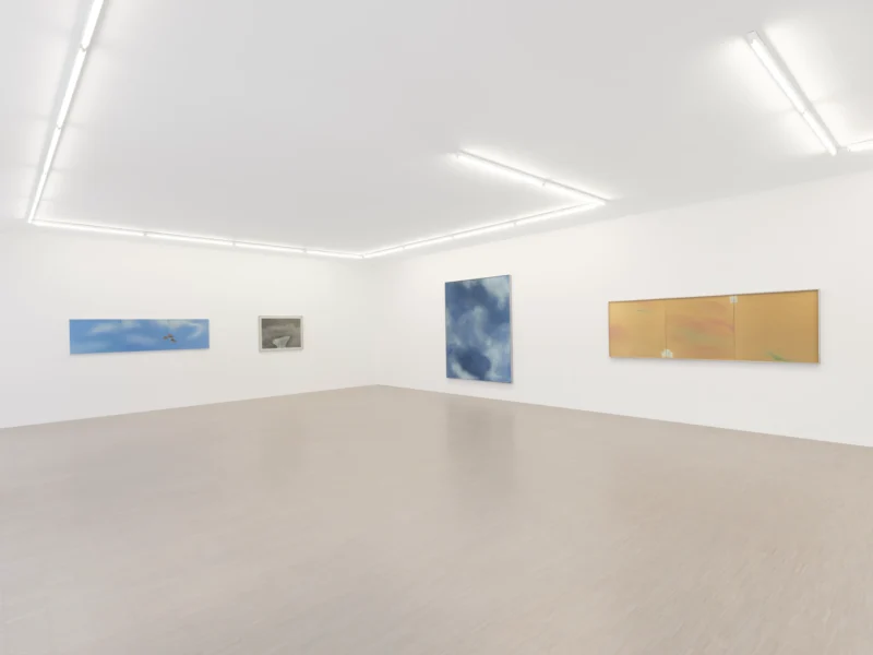 Installation shot from Joe Goode: Torn Skies, @ Zander Galerie