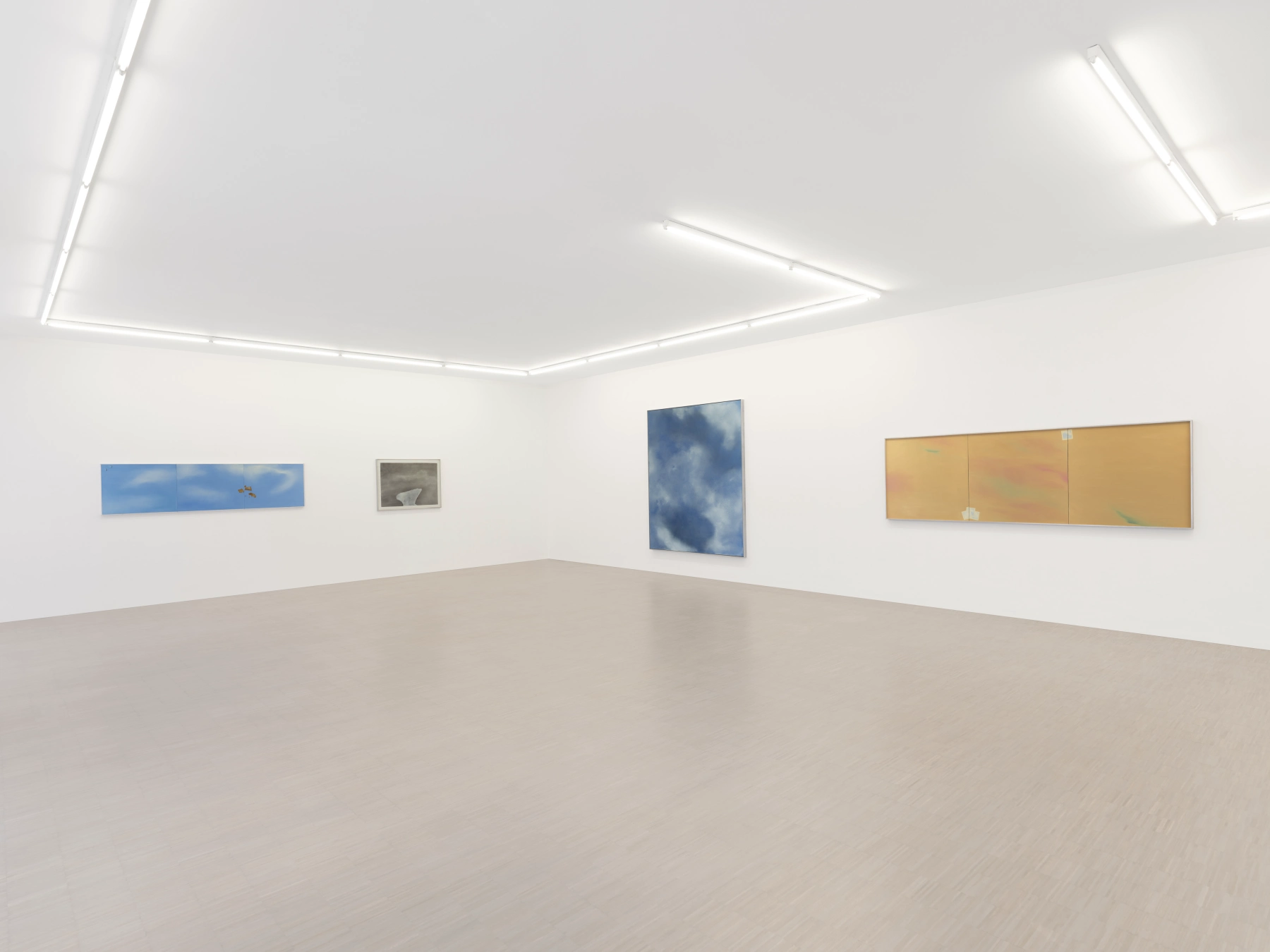 Image for Joe Goode: Torn Skies, at Zander Galerie