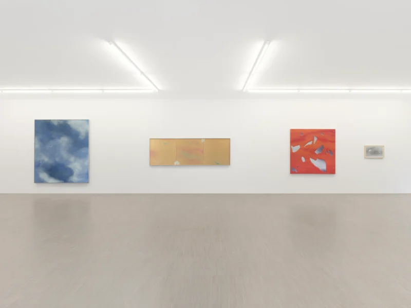 Installation shot from Joe Goode: Torn Skies, @ Zander Galerie