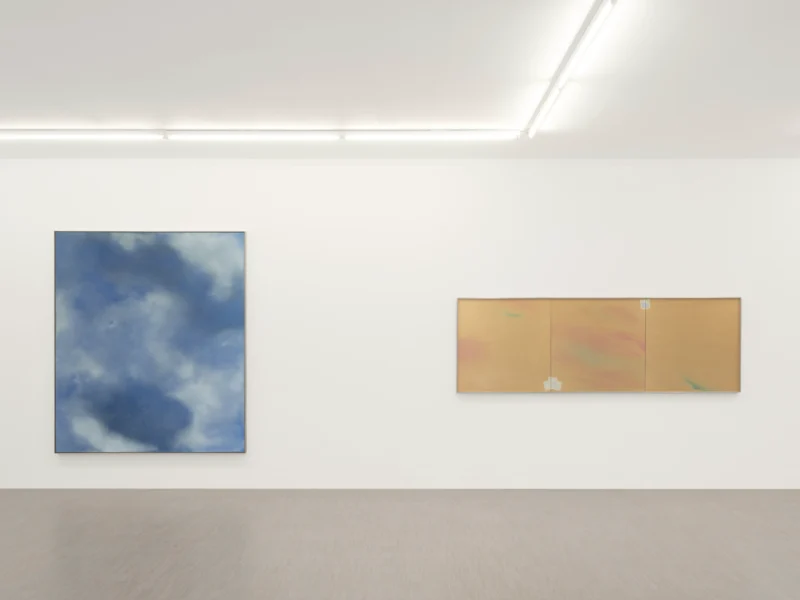 Installation shot from Joe Goode: Torn Skies, @ Zander Galerie