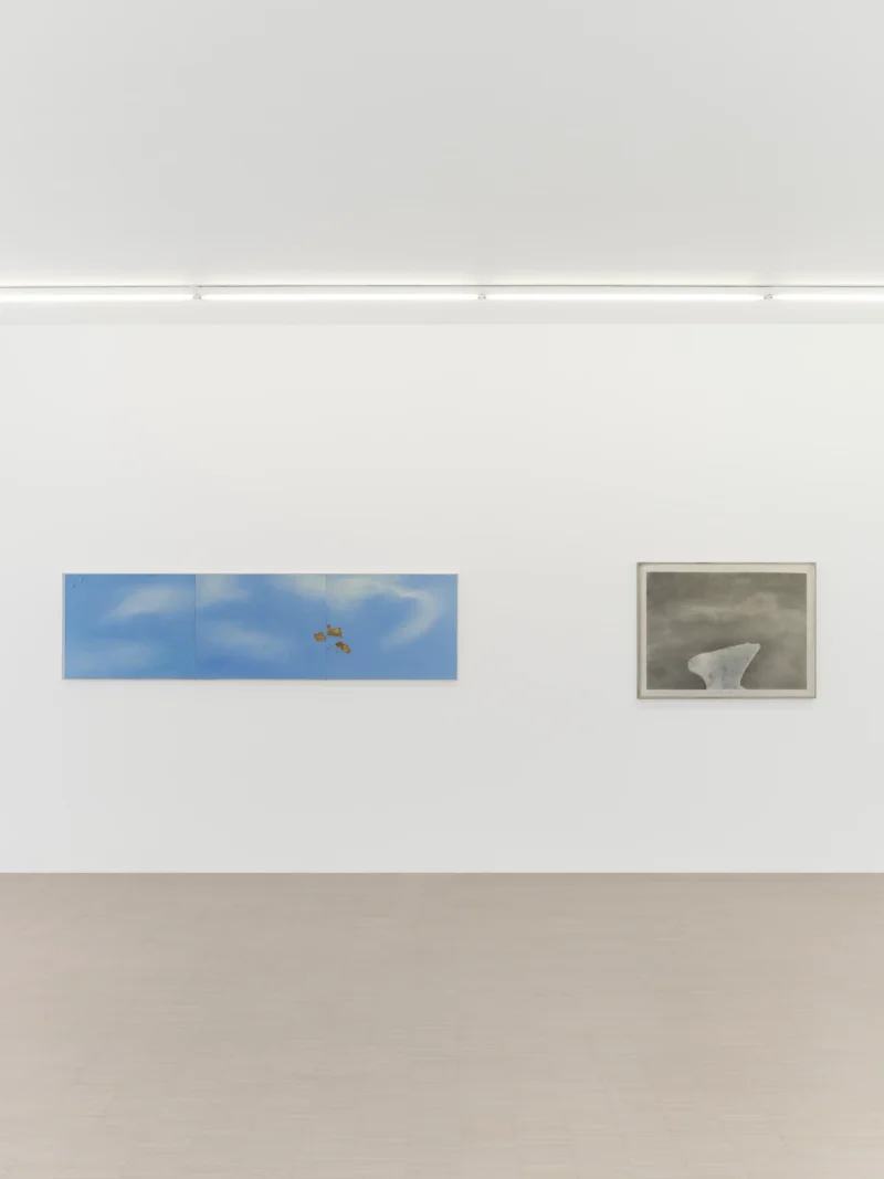 Installation shot from Joe Goode: Torn Skies, @ Zander Galerie