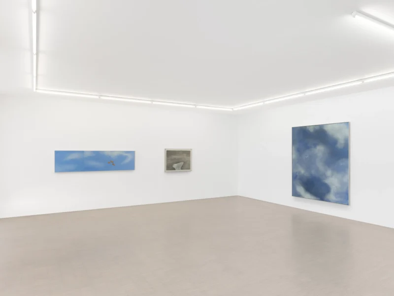 Installation shot from Joe Goode: Torn Skies, @ Zander Galerie