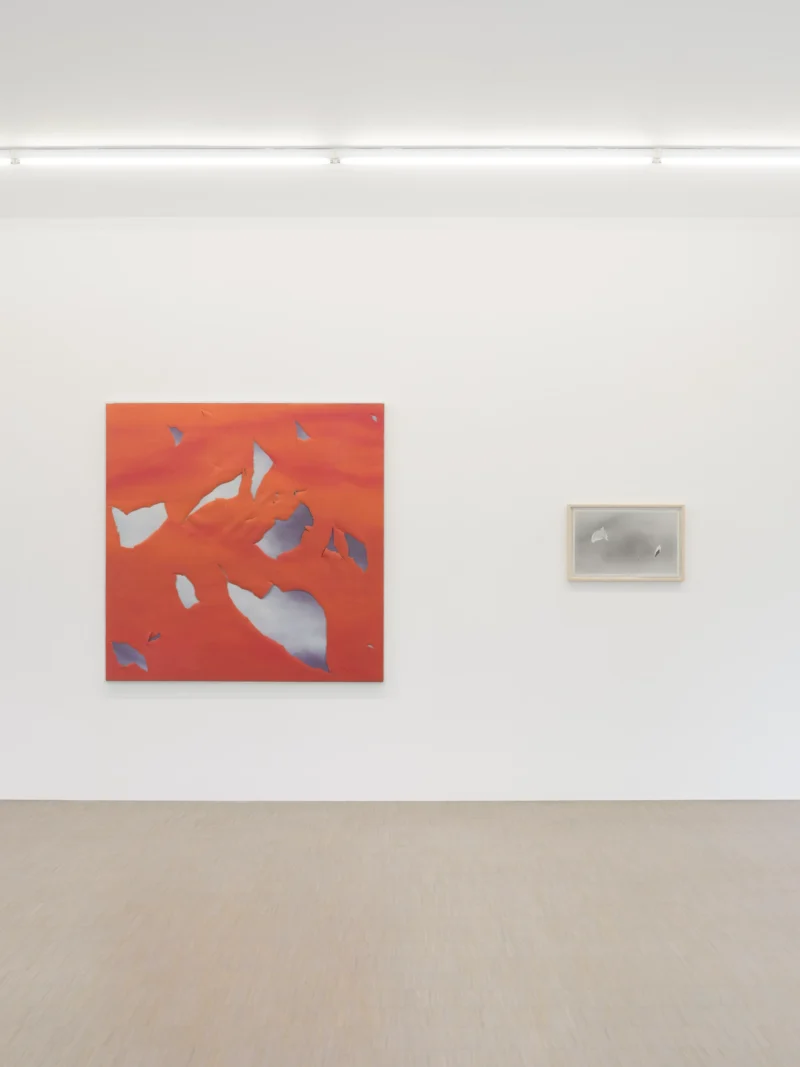 Installation shot from Joe Goode: Torn Skies, @ Zander Galerie