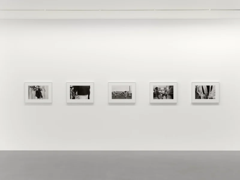 Installation shot from Tina Barney: Silver Shadows, @ Zander Galerie