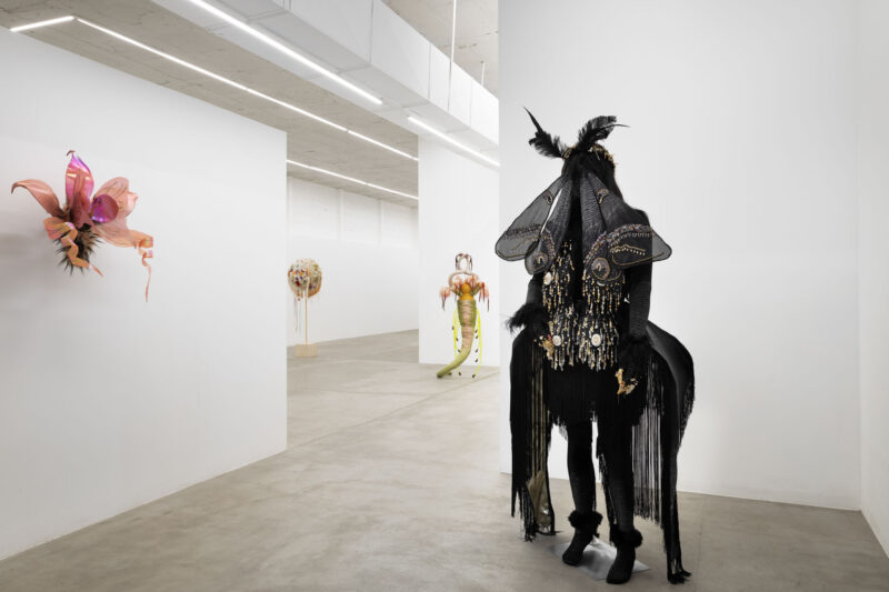 Installation shot from Alan Hernández: Manos de hierro en guantes de terciopelo, @ No Man’s Art Gallery