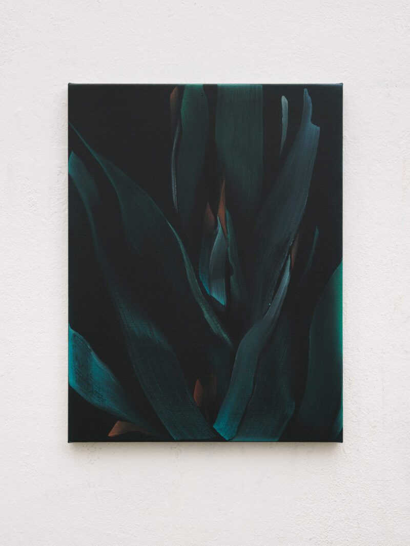 Marjolein Rothman, Agave (Blue), 2026