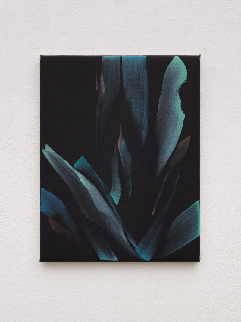 Marjolein Rothman, Agave (Blue) II, 2026
