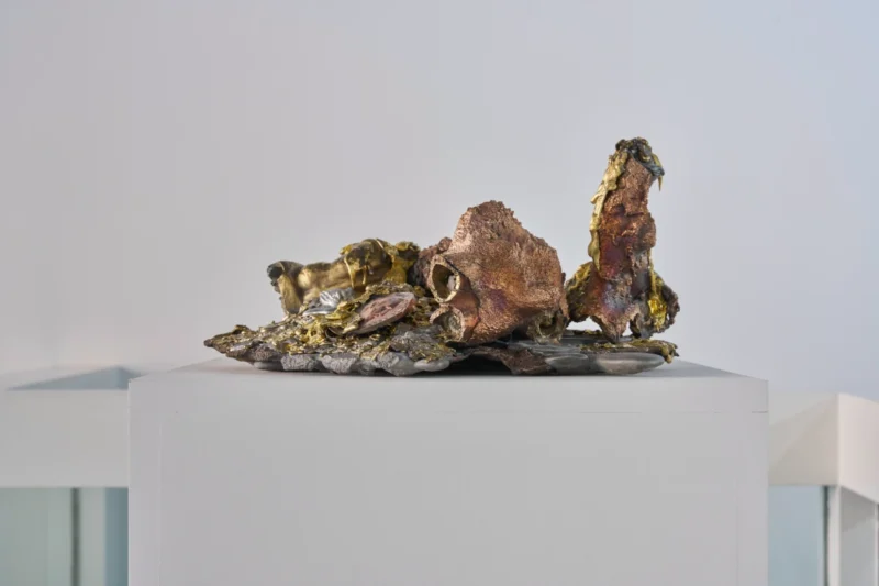 Agnieszka Kurant, Liquid Modernity, 2021