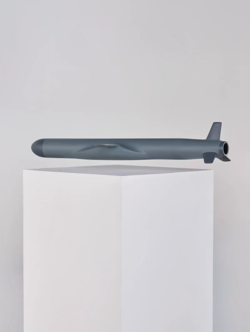 Agnieszka Kurant, Unmanned, 2026