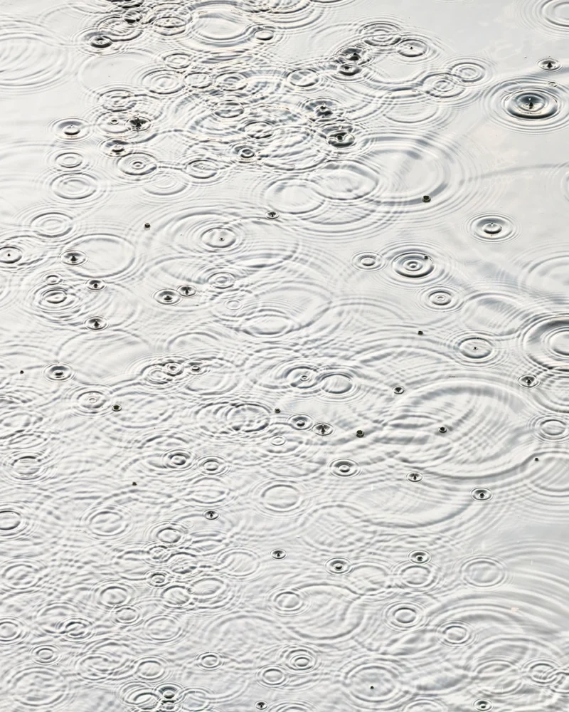 Andreas Gefeller, 048-2 Rain, 2020