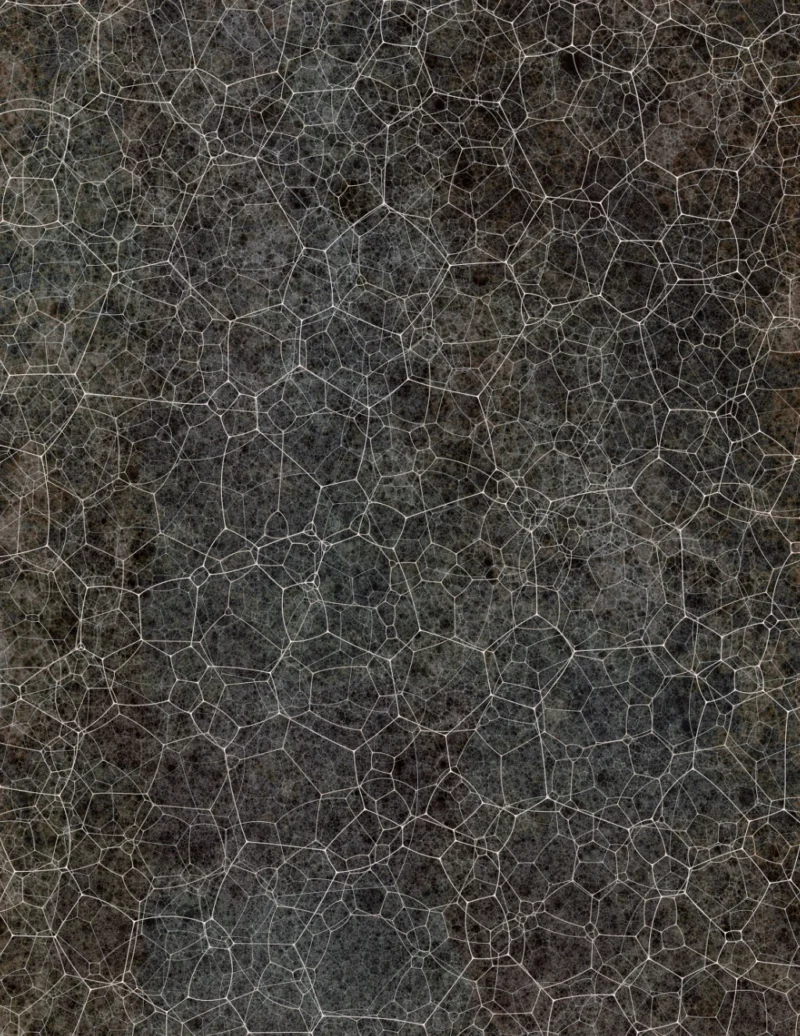 Andreas Gefeller, Insight Out 05, 2025