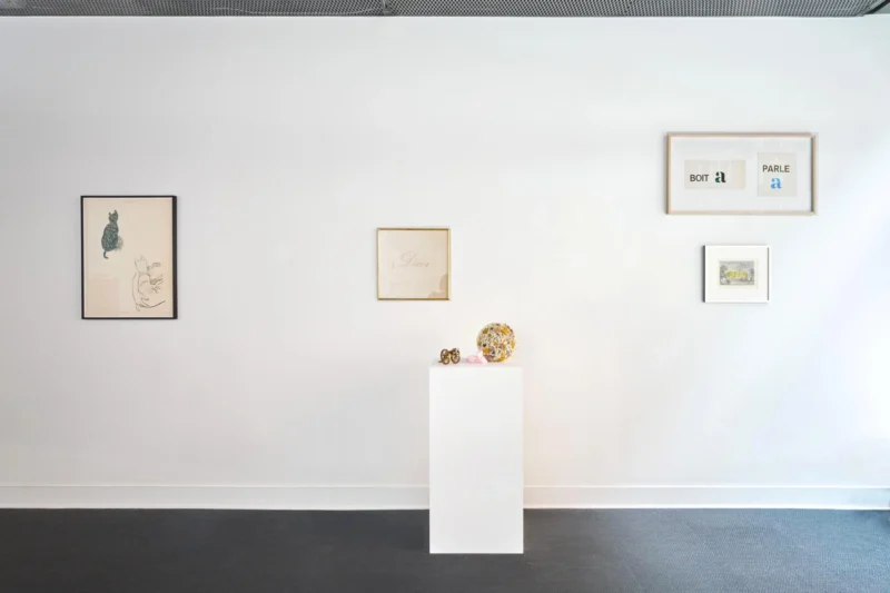 Installation shot from Marcel Broodthaers and Agnieszka Kurant, @ Belmacz