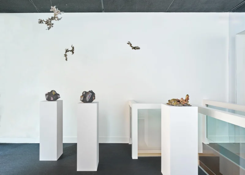 Installation shot from Marcel Broodthaers and Agnieszka Kurant, @ Belmacz