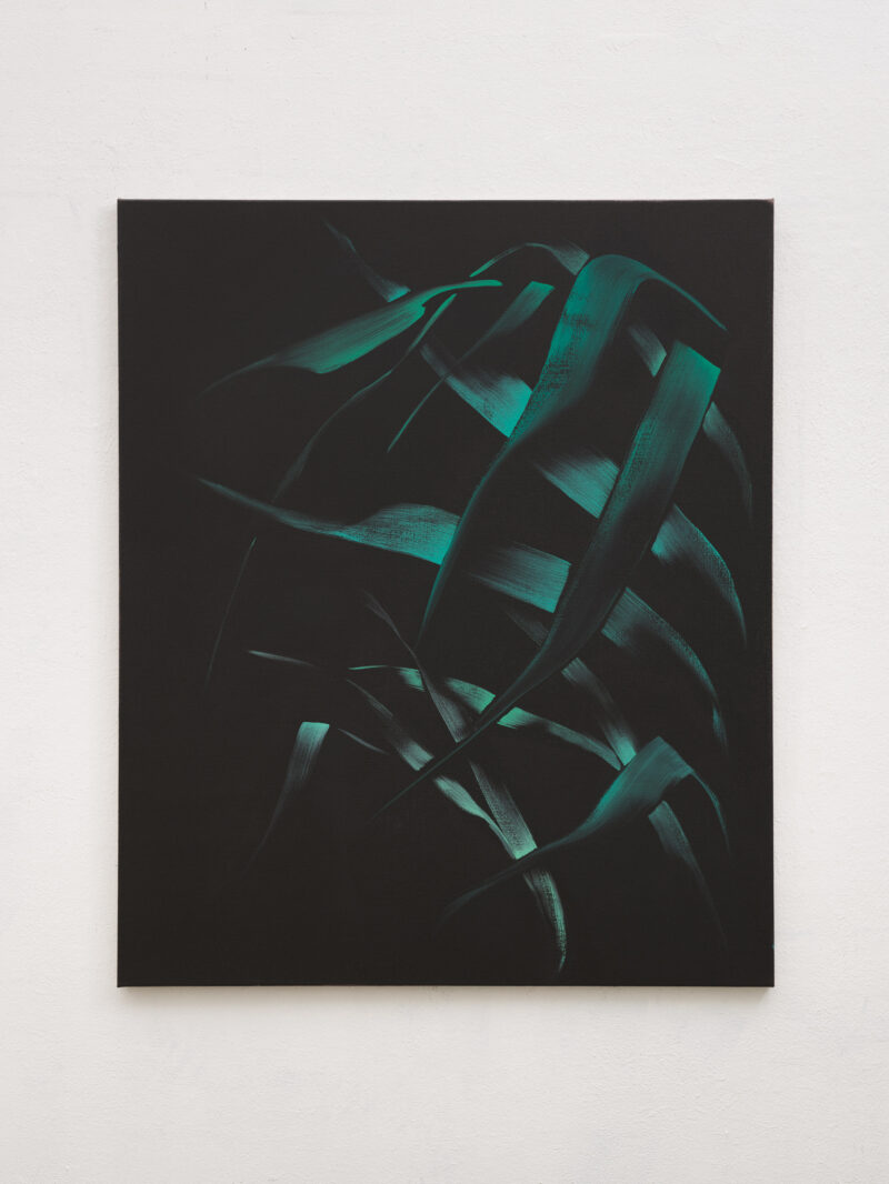 Marjolein Rothman, Blue Leaves, 2026