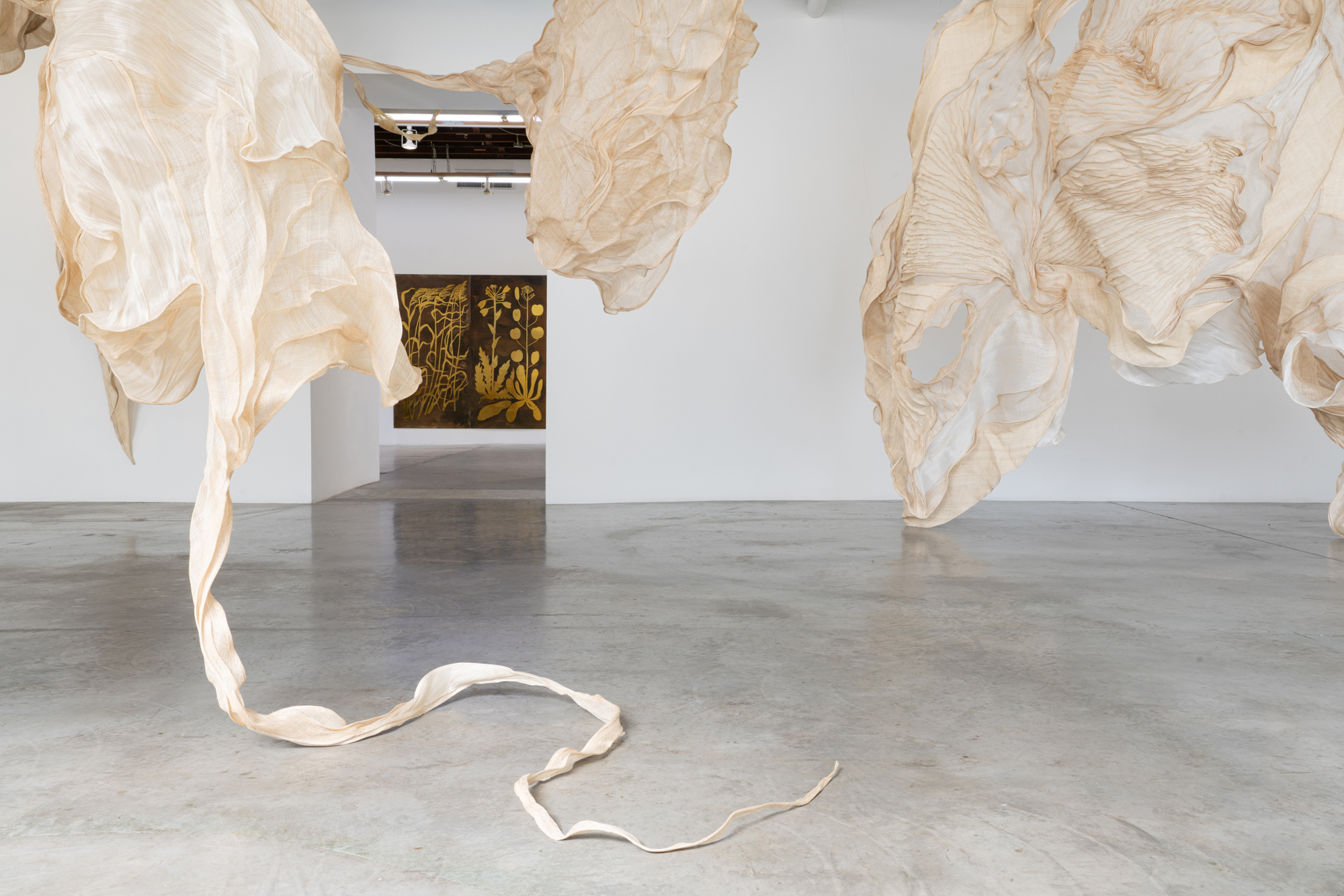 Image for Alicja Biała + Diana Orving: Aether’s Long Roots, at CARVALHO