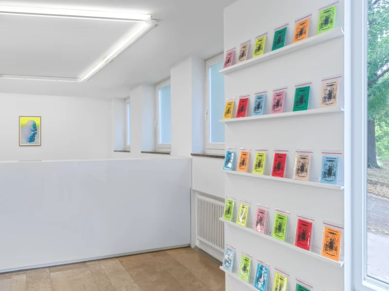Installation shot from Austin Martin White: The lie, the larp and the lusophile, @ Capitain Petzel