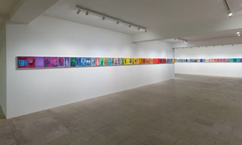 Installation shot from Austin Martin White: The lie, the larp and the lusophile, @ Capitain Petzel