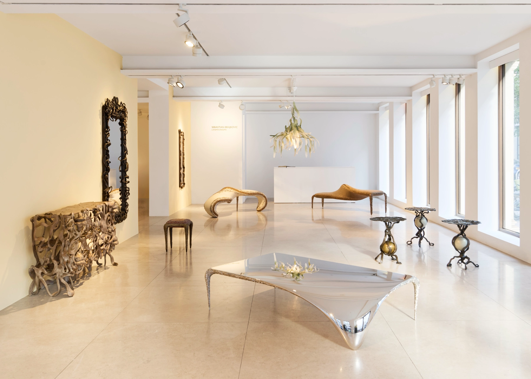 Image for Sebastian Brajkovic: L’Anima Enigma, at David Gill