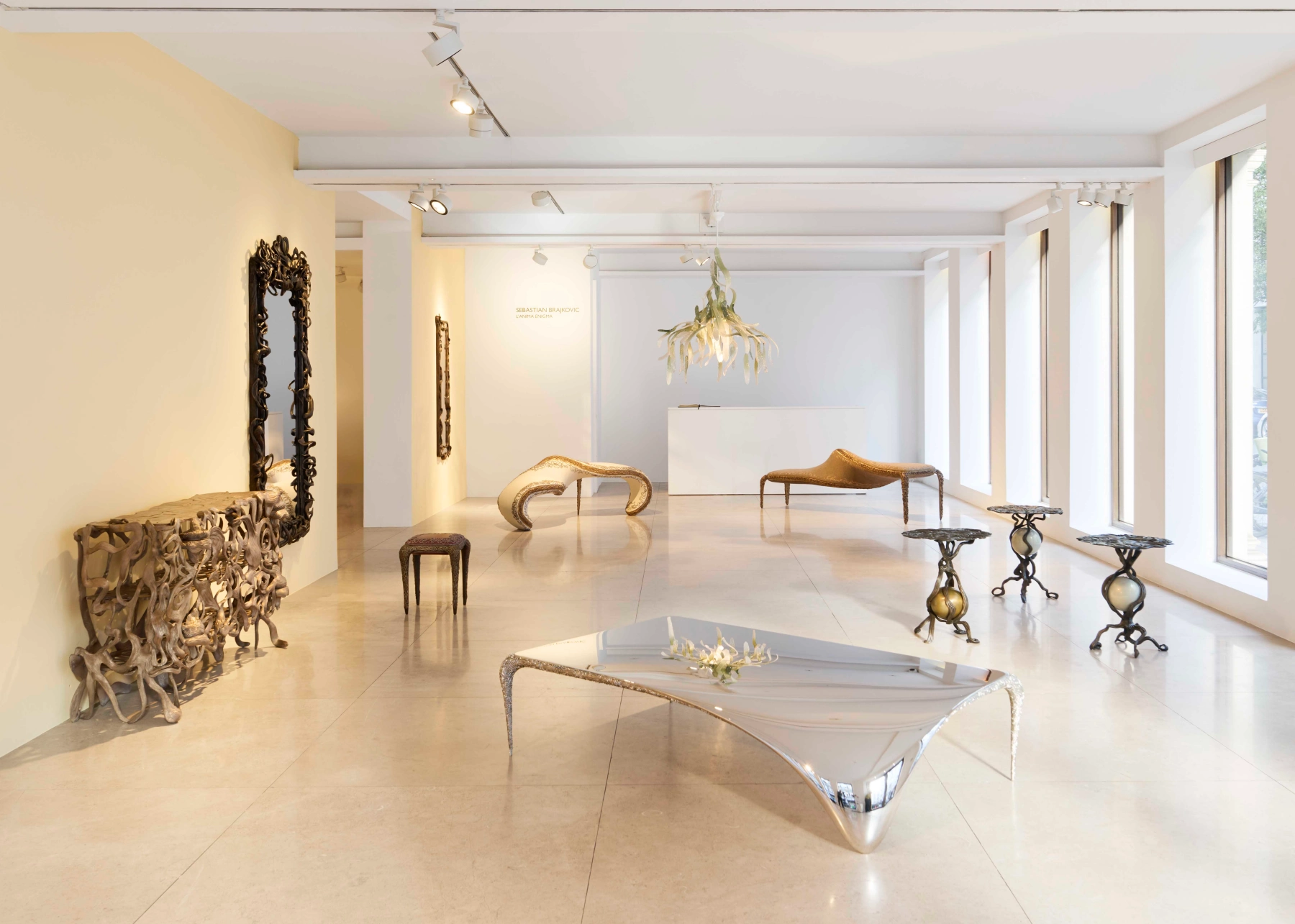 Image for Sebastian Brajkovic: L’Anima Enigma, at David Gill