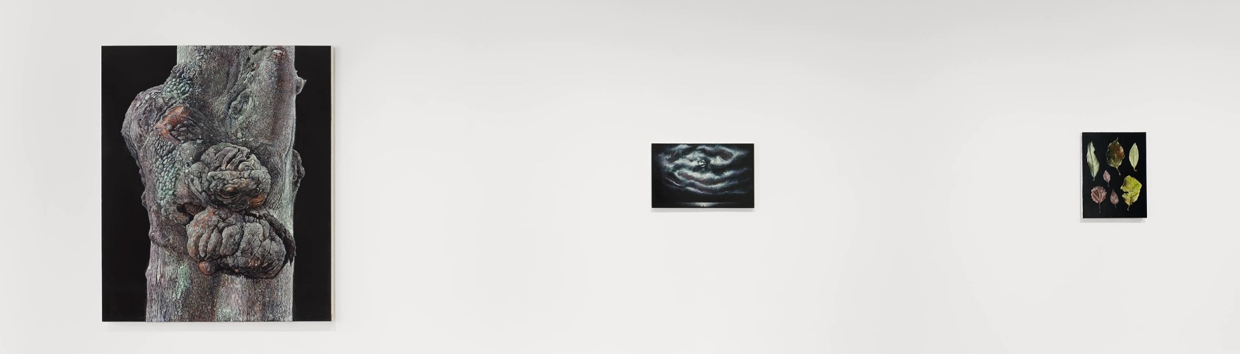 Image for our show of the day, Daichi Takagi: Suchness, at David Zwirner
