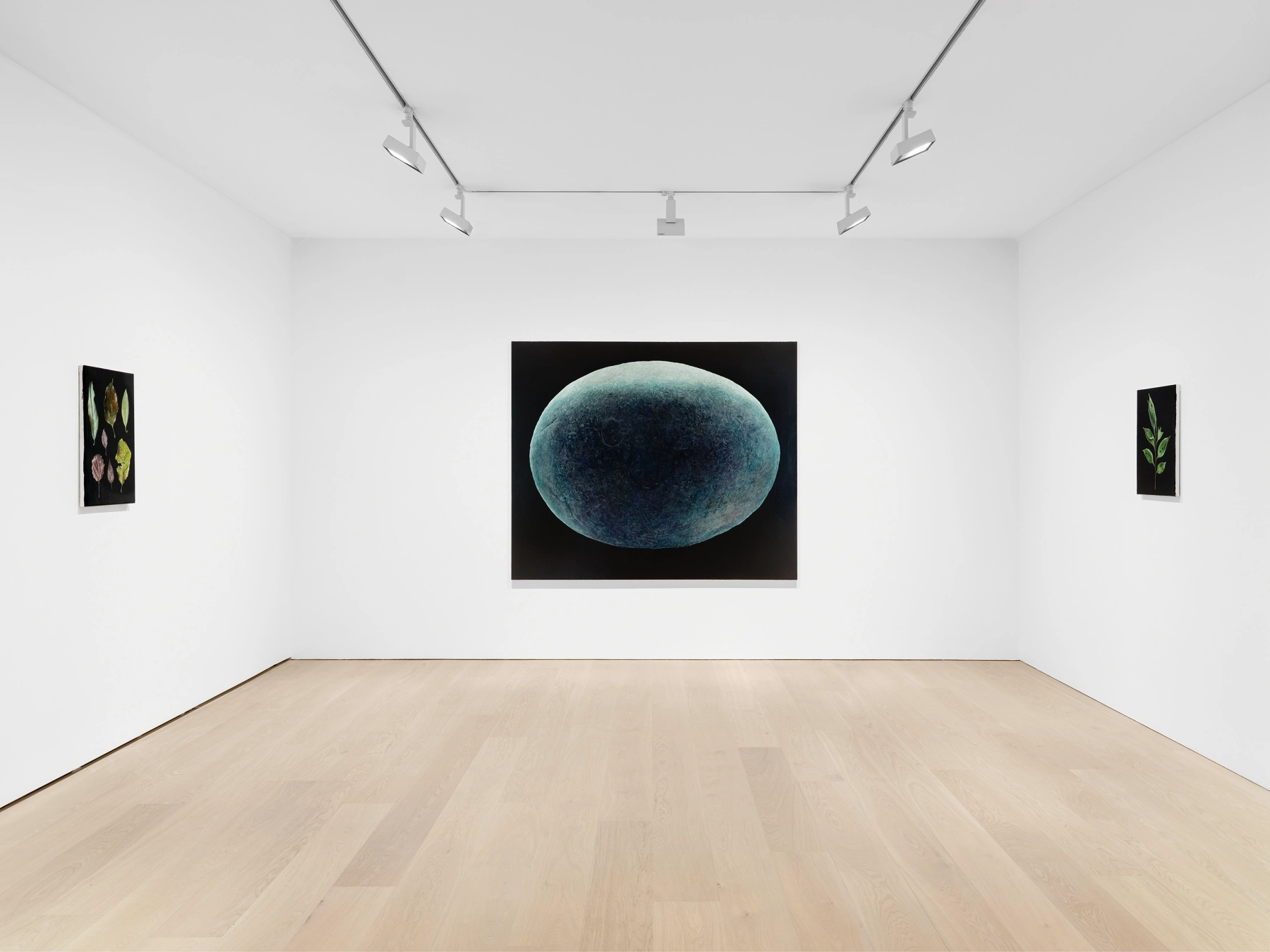 Image for Daichi Takagi: Suchness, at David Zwirner