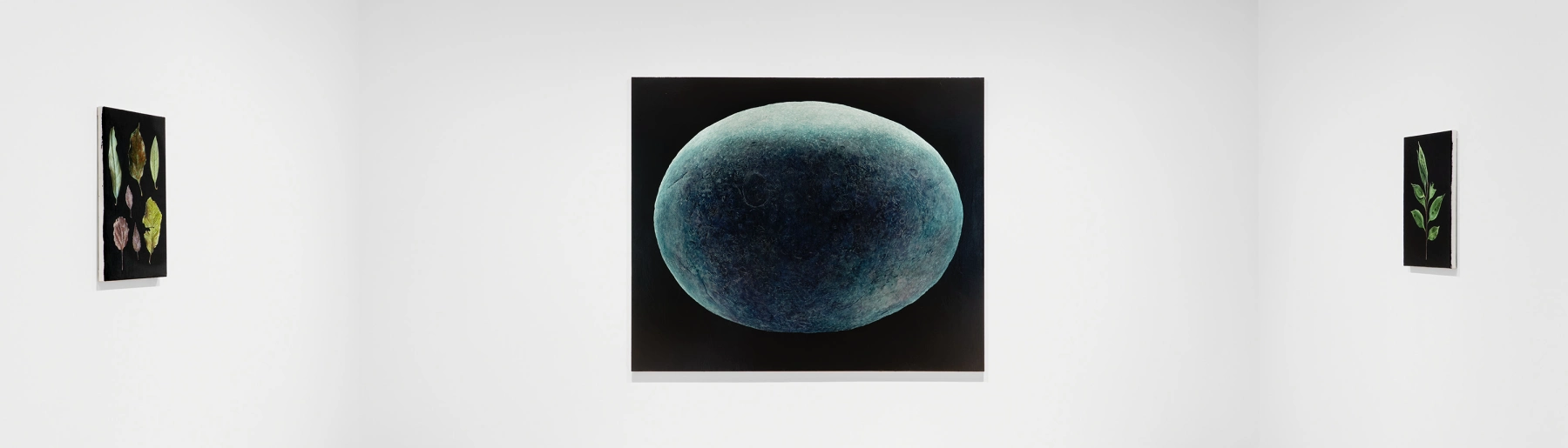 Image for Daichi Takagi: Suchness at David Zwirner
