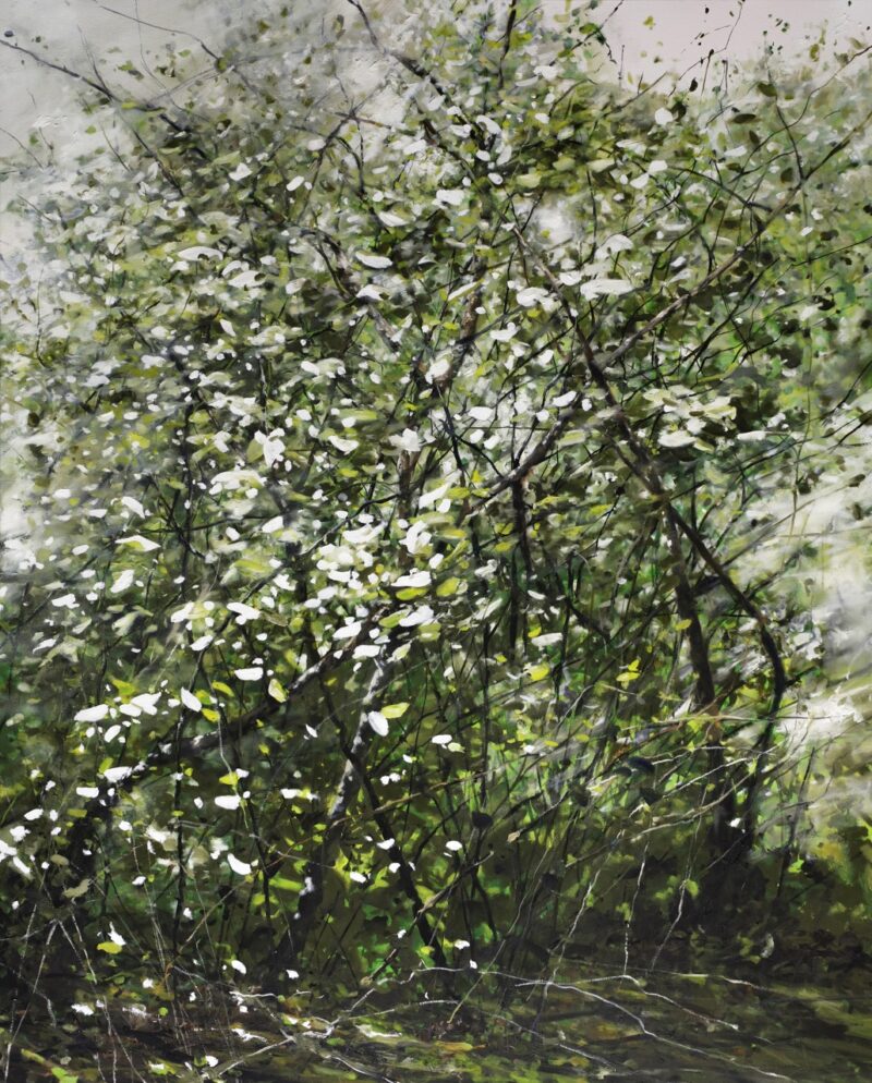 Eric Zener, Evergreen, 2026