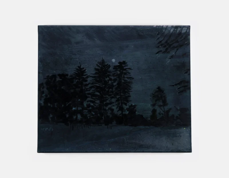 Elizabeth Magill, Wolf-Light, 2026