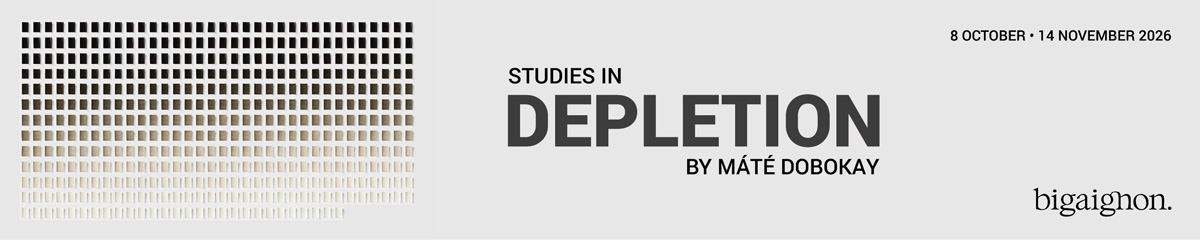 Studies in Depletion @ Bigaignon, Paris