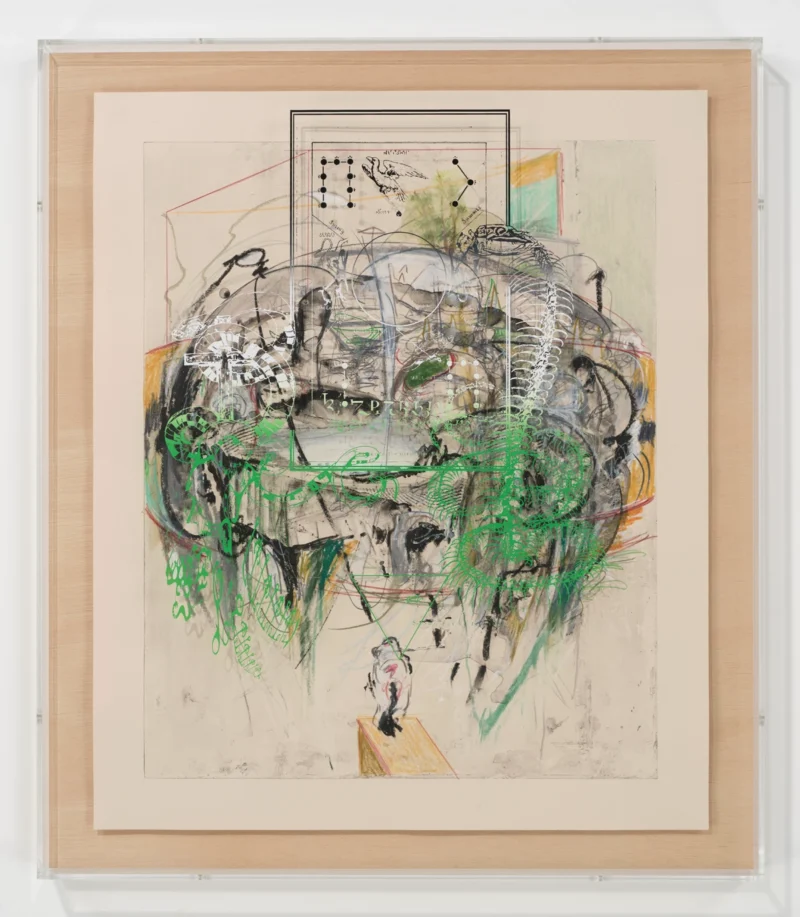 Hiroki Tsukuda, The garden of mind and instinct, 2026