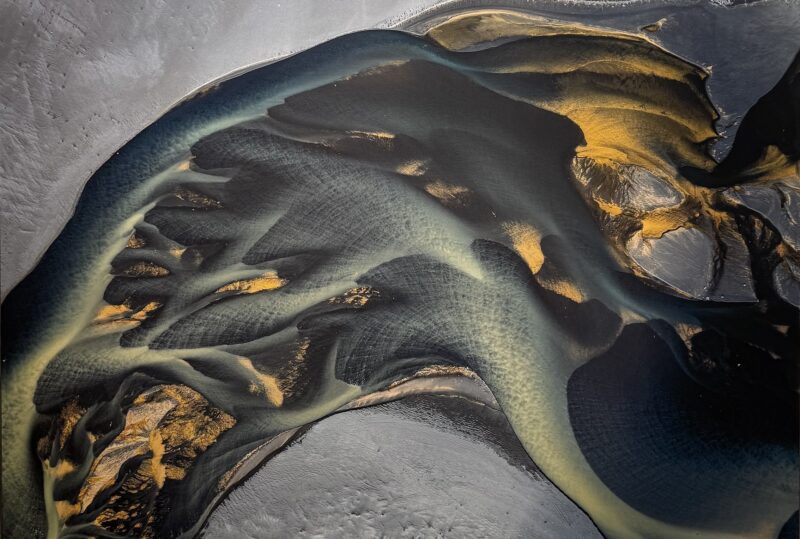 Michèle Buhofer, Nature as Art I, 2025
