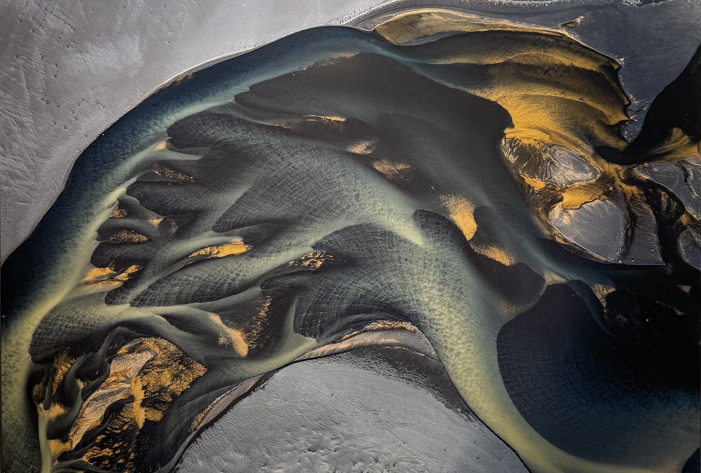 Michèle Buhofer, Nature as Art I, 2025