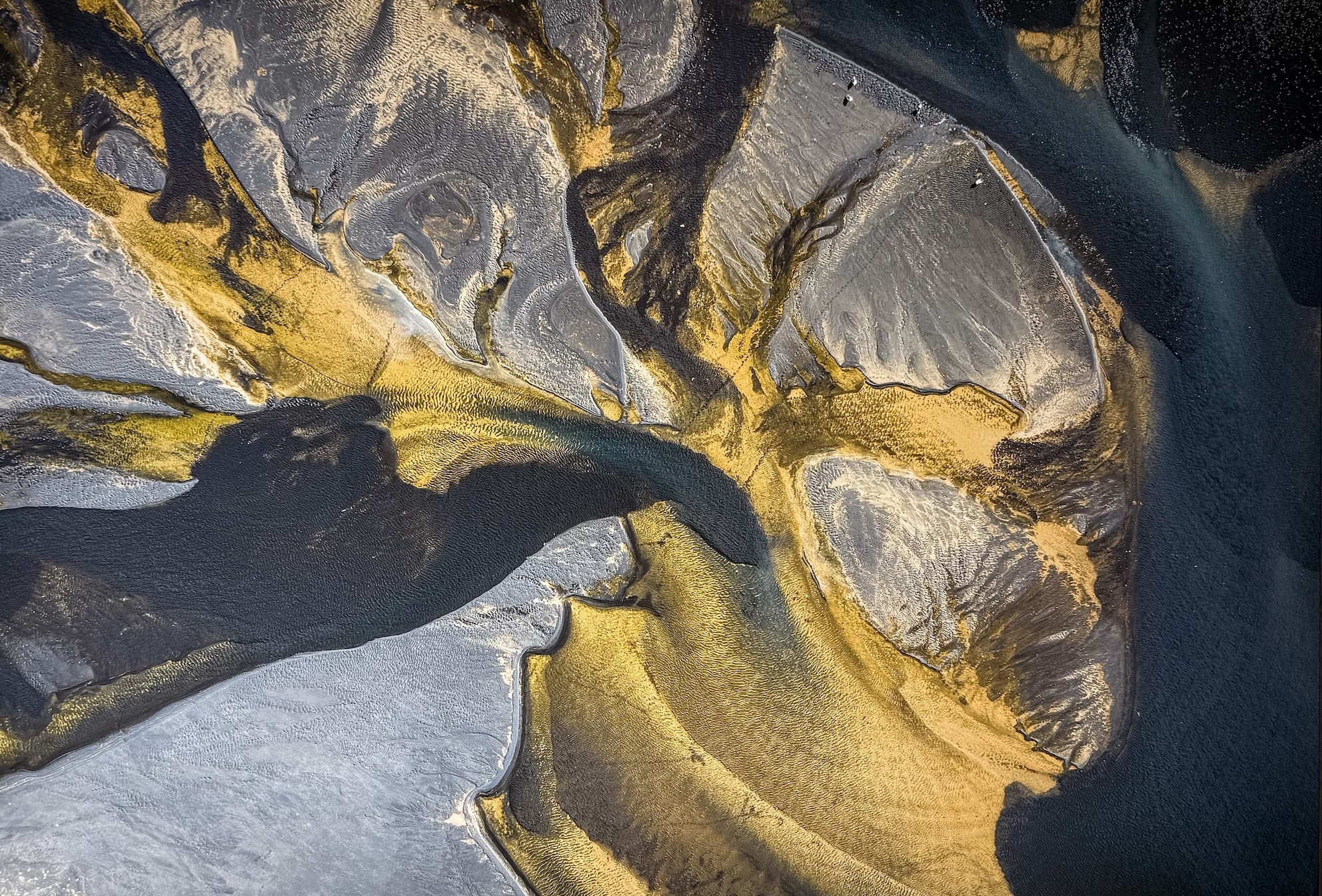 Michèle Buhofer, Nature as Art II, 2025