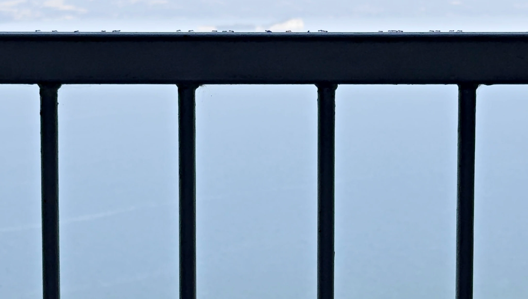 Image for Karin Sander, at Annka Kultys Gallery