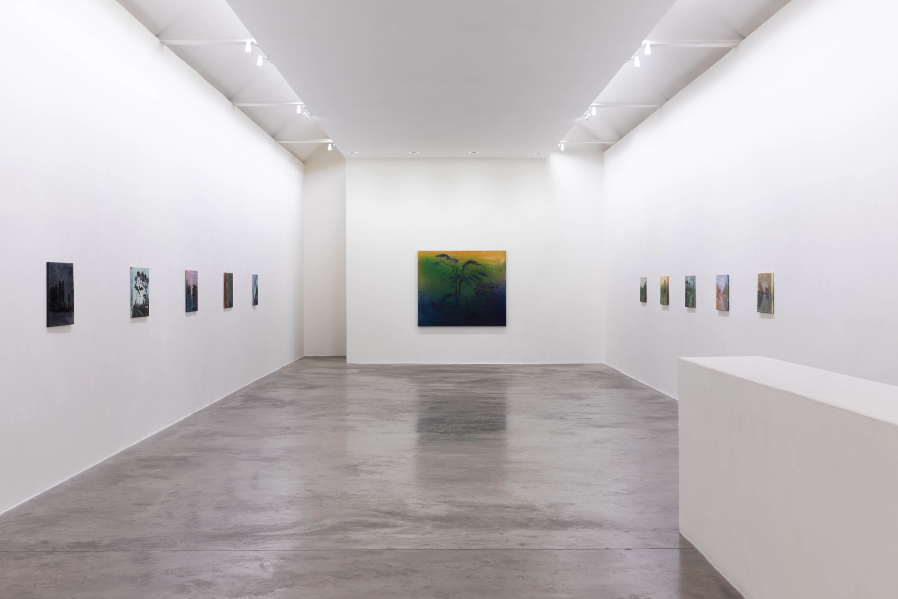 Image for Elizabeth Magill: Northern Sky, at Kerlin Gallery
