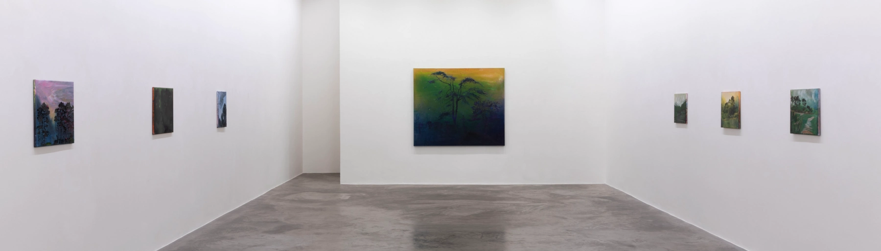 Image for Elizabeth Magill: Northern Sky at Kerlin Gallery