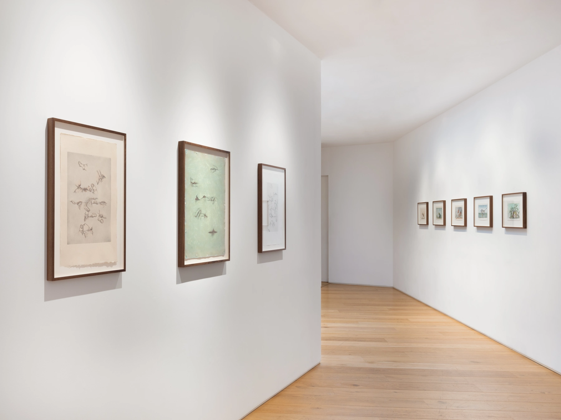 Image for Jim Amaral: A Study of Five Decades, at LAMB