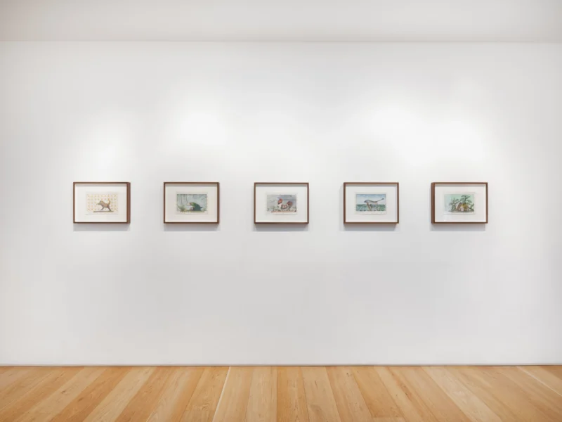 Installation shot from Jim Amaral: A Study of Five Decades, @ LAMB