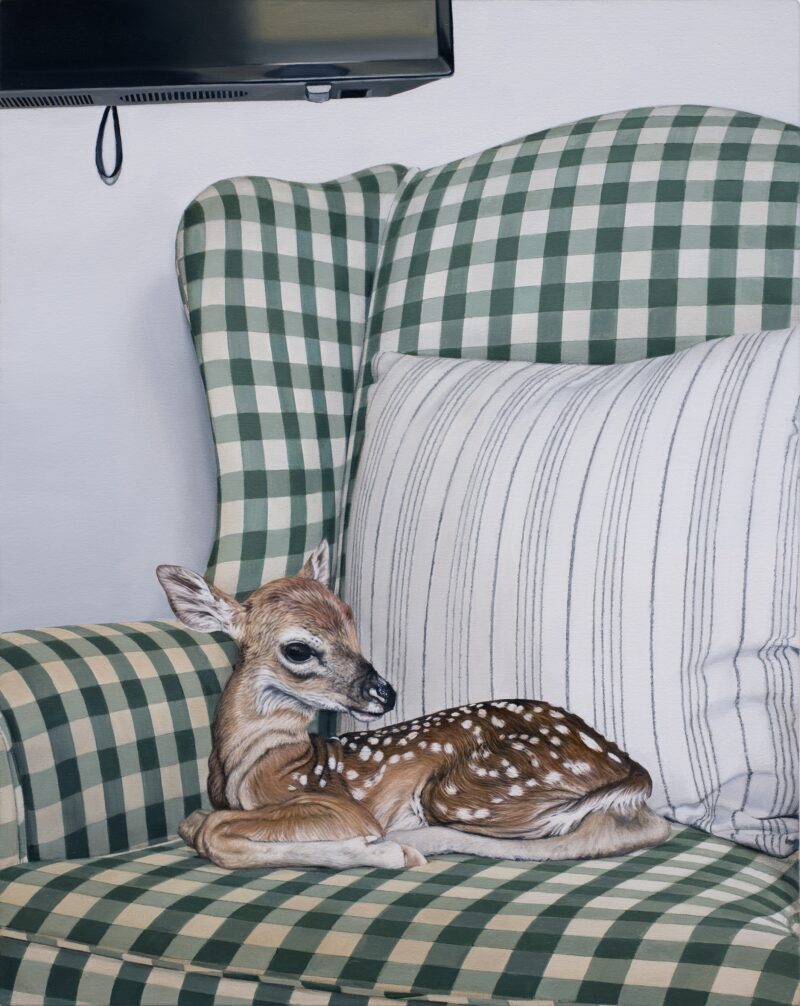 Lindsay Merrill, Fawn, 2026
