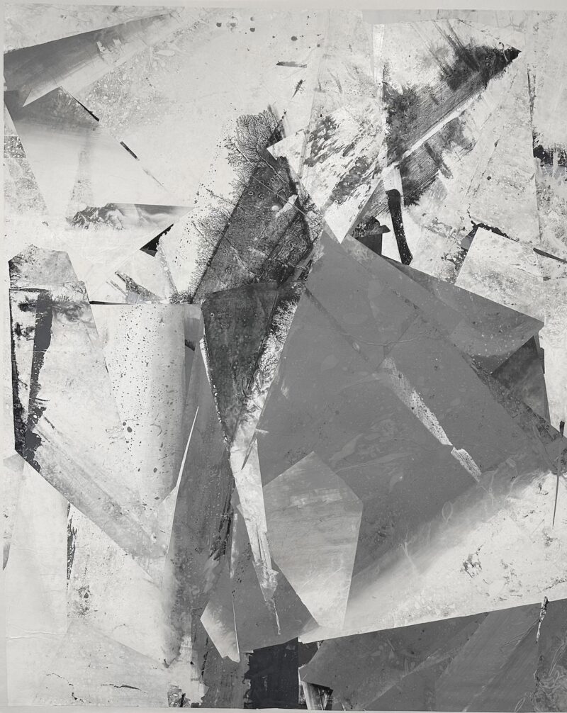 Zheng Chongbin, Light Ecology, 2023