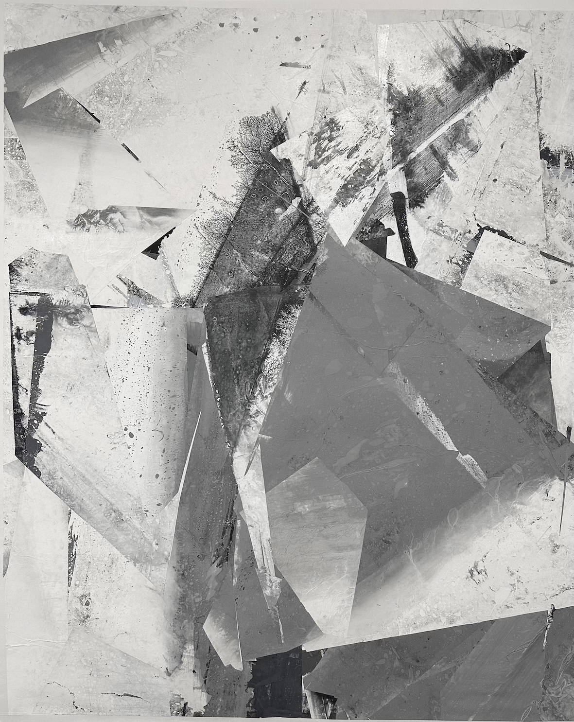 Zheng Chongbin, Light Ecology, 2023
