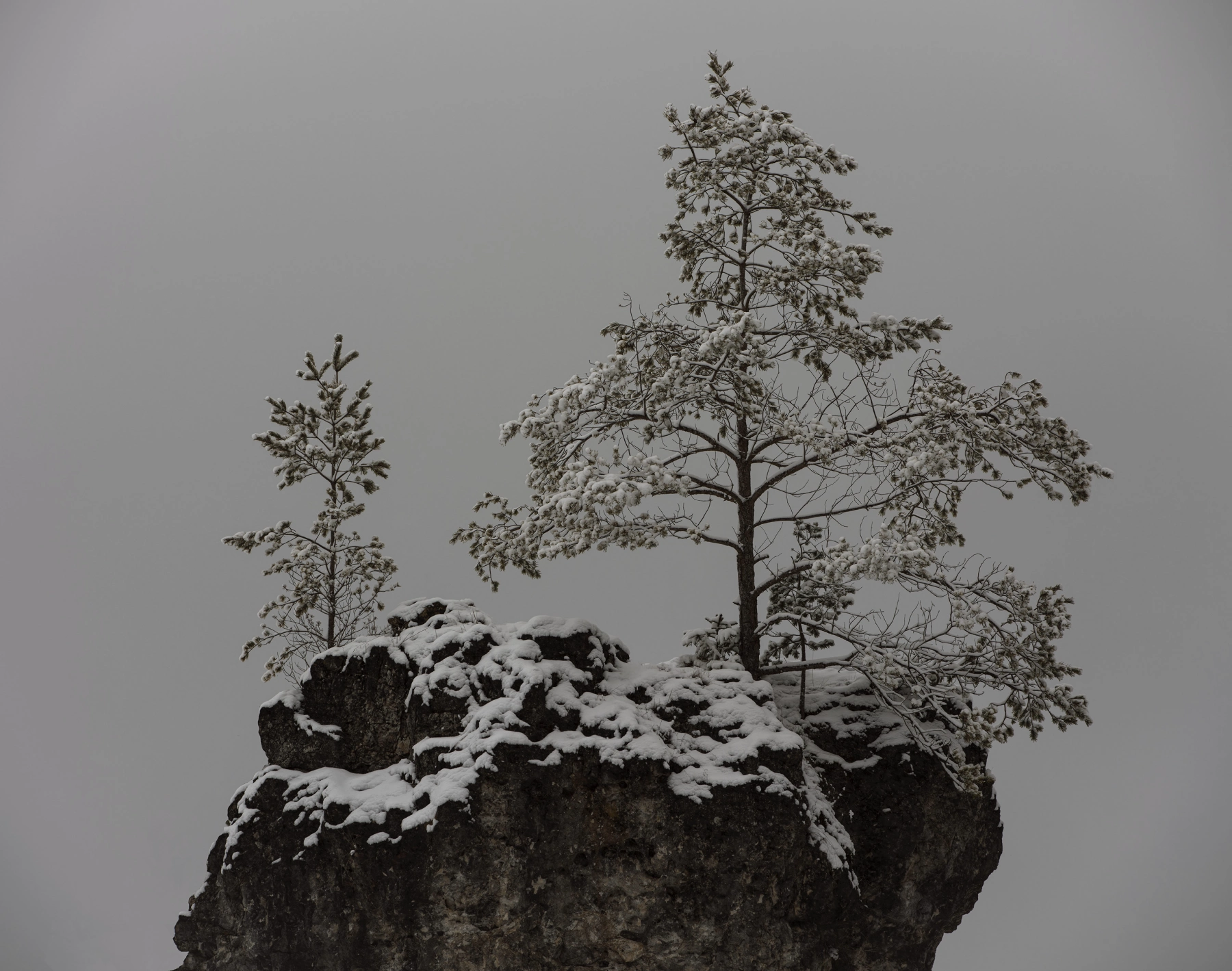 Image for Michael Schnabel: Stille at Galerie Esther Woerdehoff