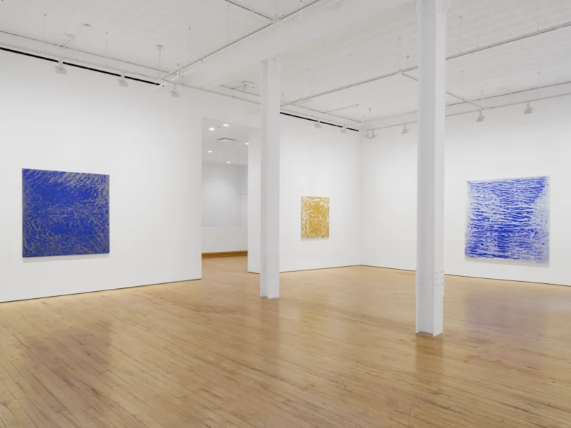 Installation shot from Vicky Colombet: Memory of the Surface, @ NORR COHAN