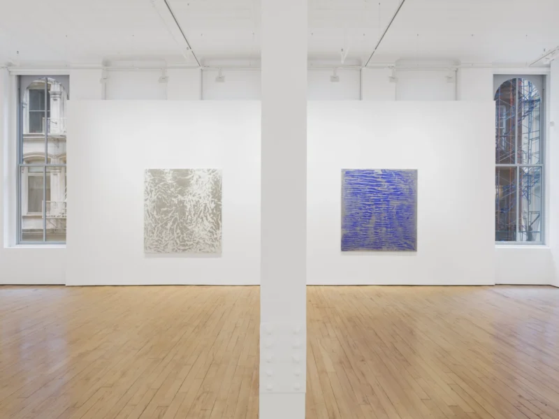 Installation shot from Vicky Colombet: Memory of the Surface, @ NORR COHAN