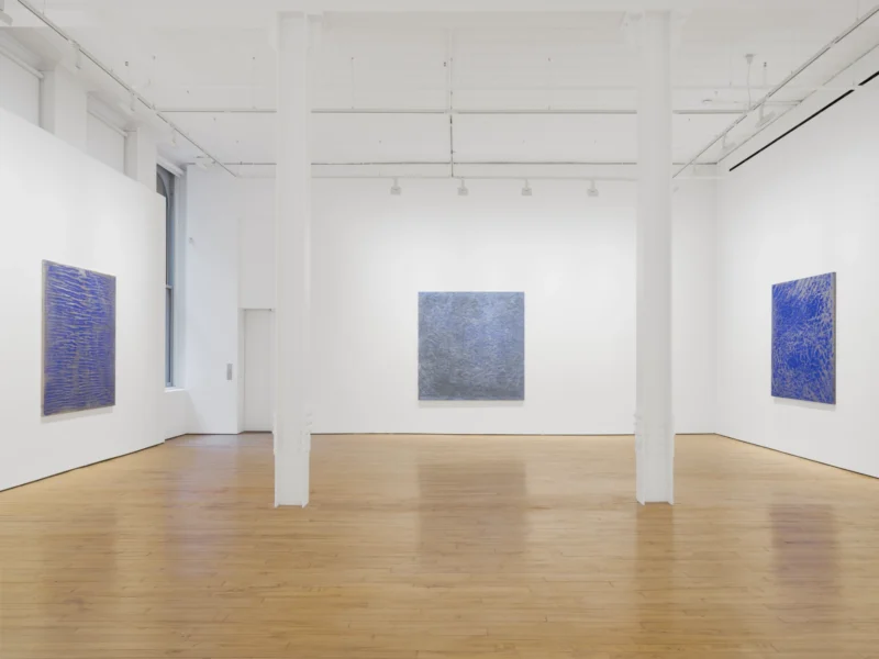 Installation shot from Vicky Colombet: Memory of the Surface, @ NORR COHAN